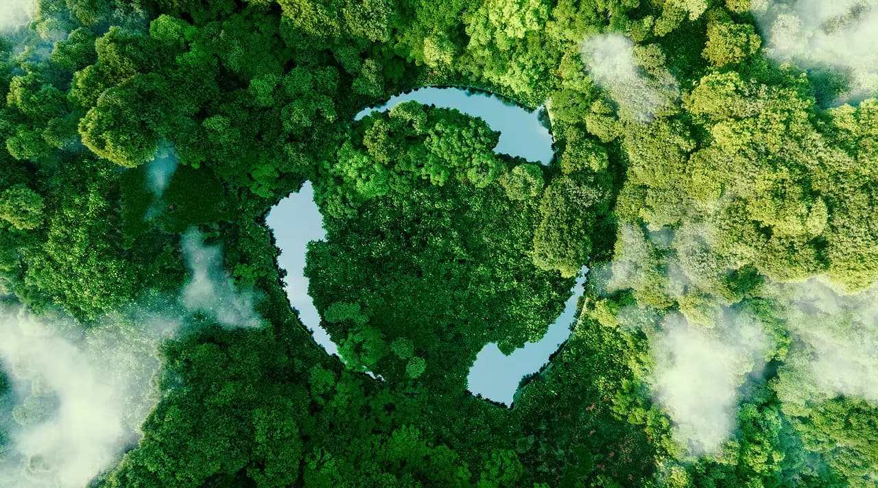 sustainability